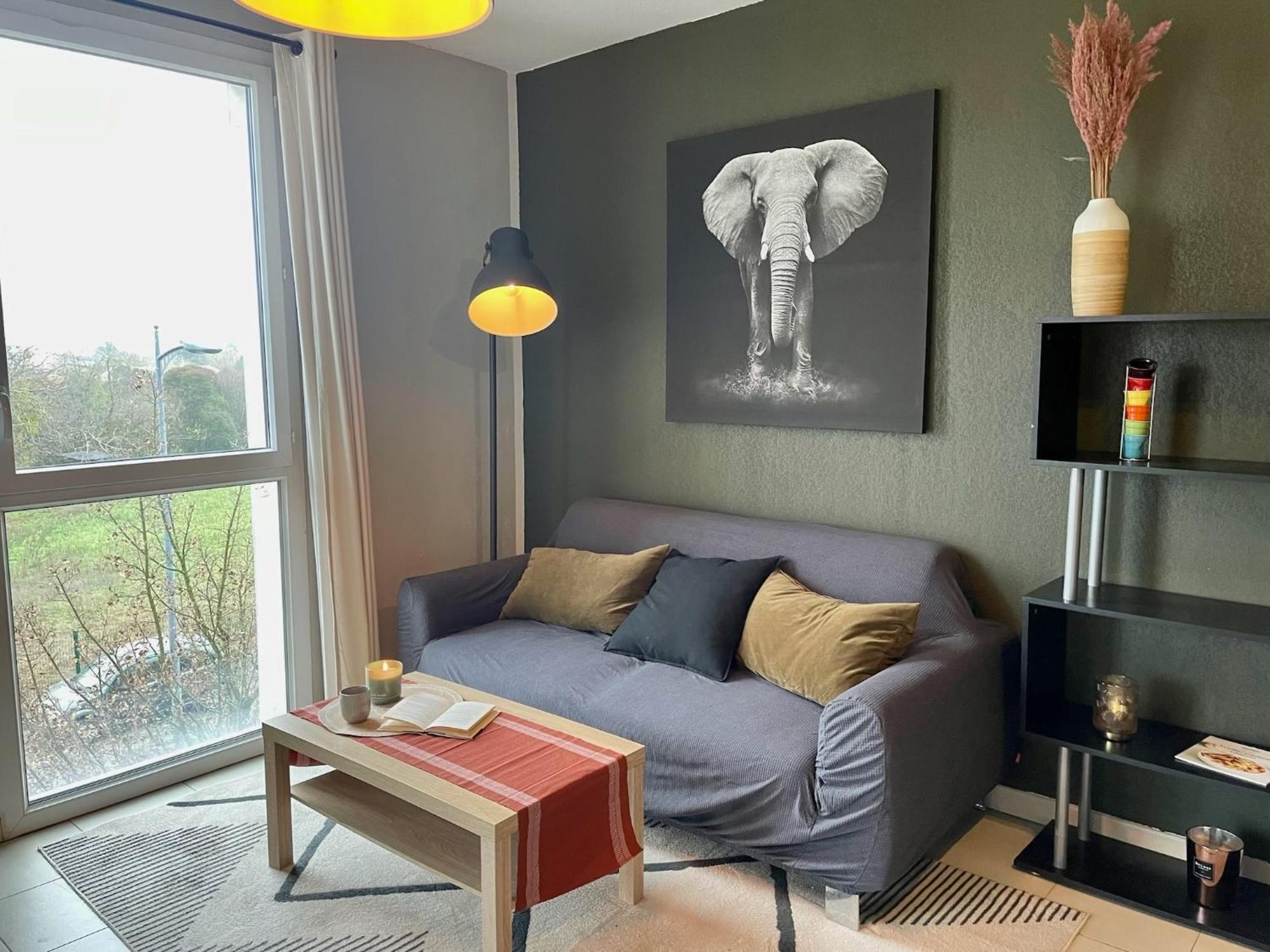 Le Colorado - Appartement Proche Airbus Colomiers Luaran gambar