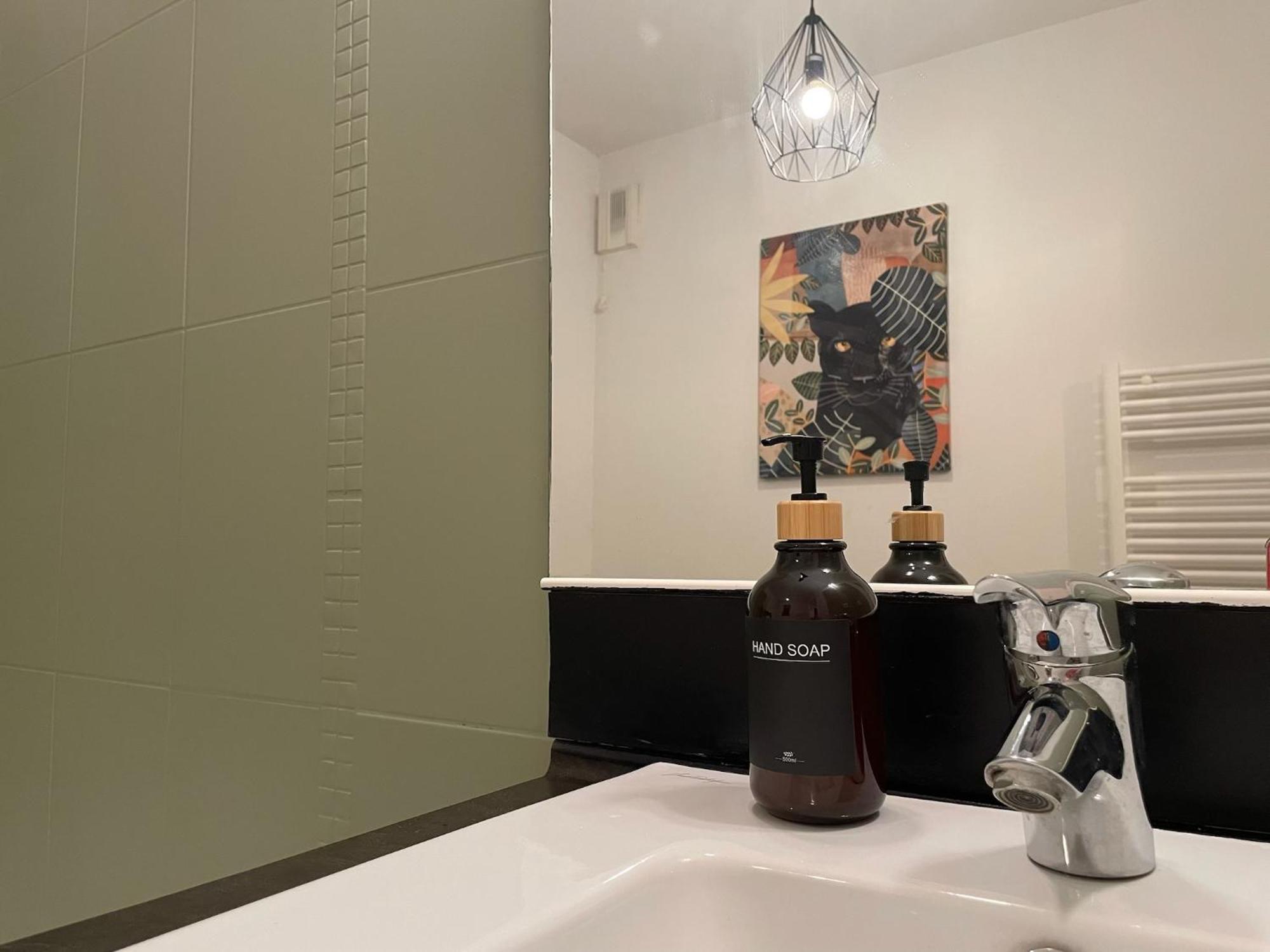 Le Colorado - Appartement Proche Airbus Colomiers Luaran gambar